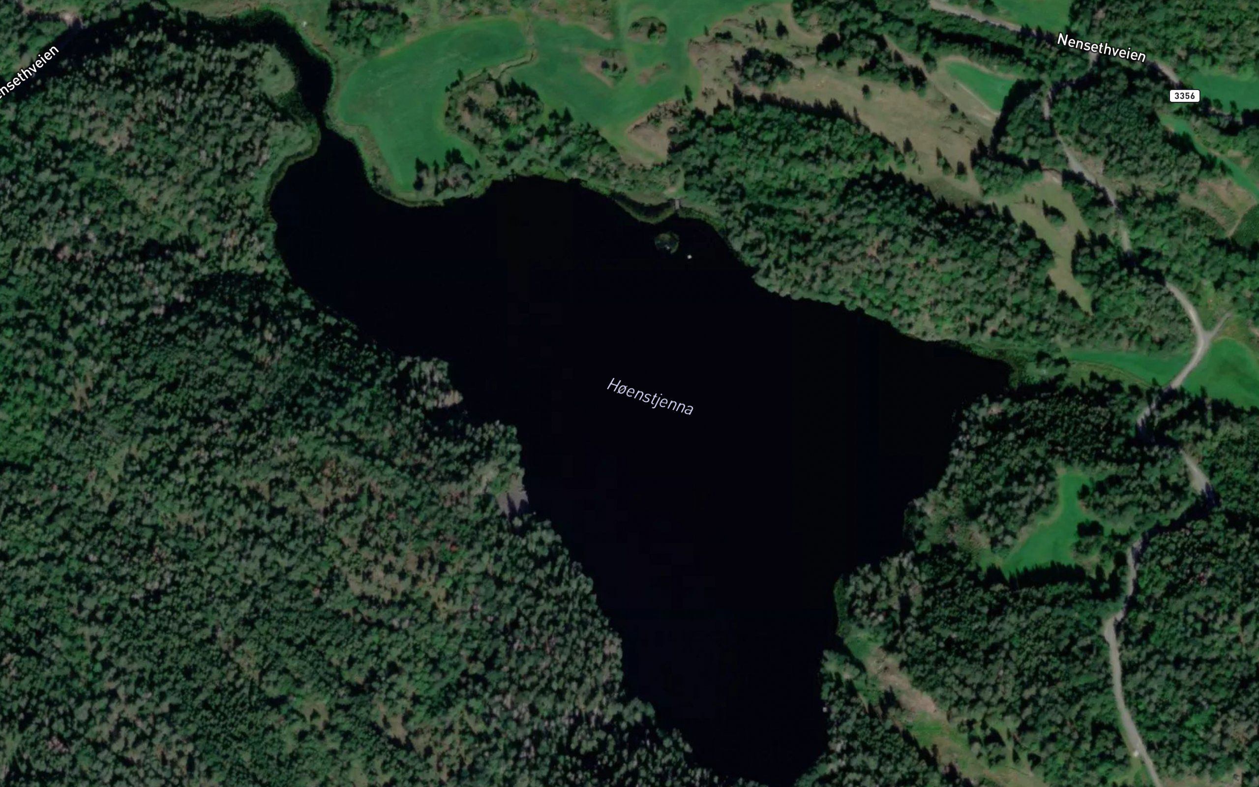 Honstjerna