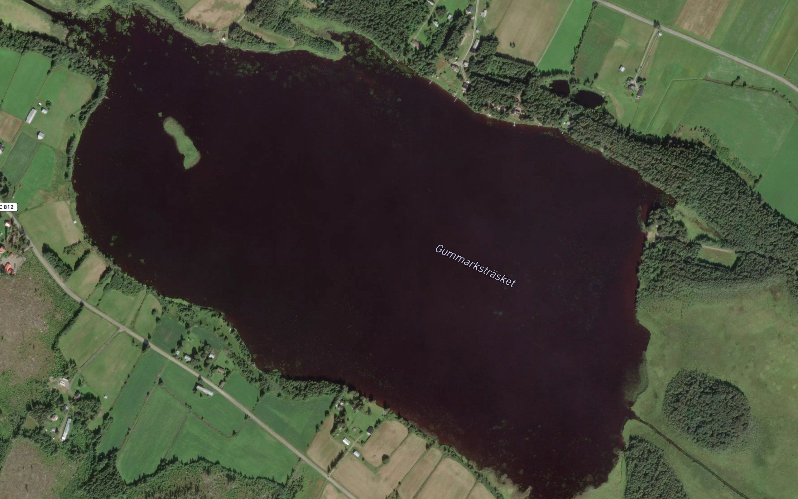 Gummarkstrasket