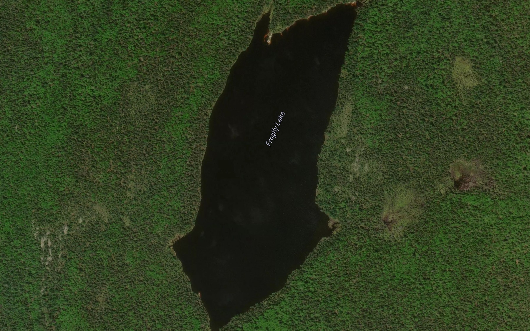 Satellite map of the Frogfly Lake