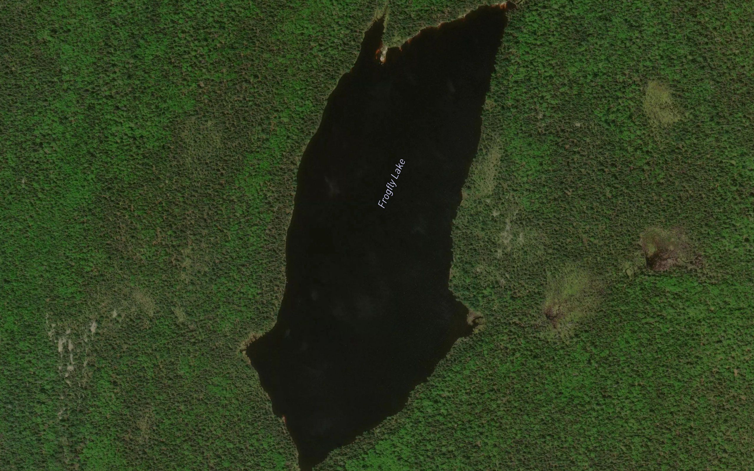 Frogfly Lake