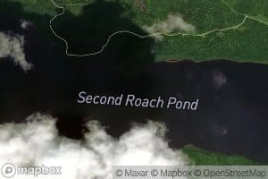 Second Roach Pond