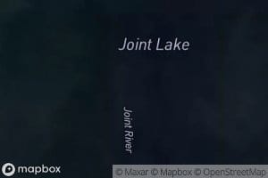 Joint Lake