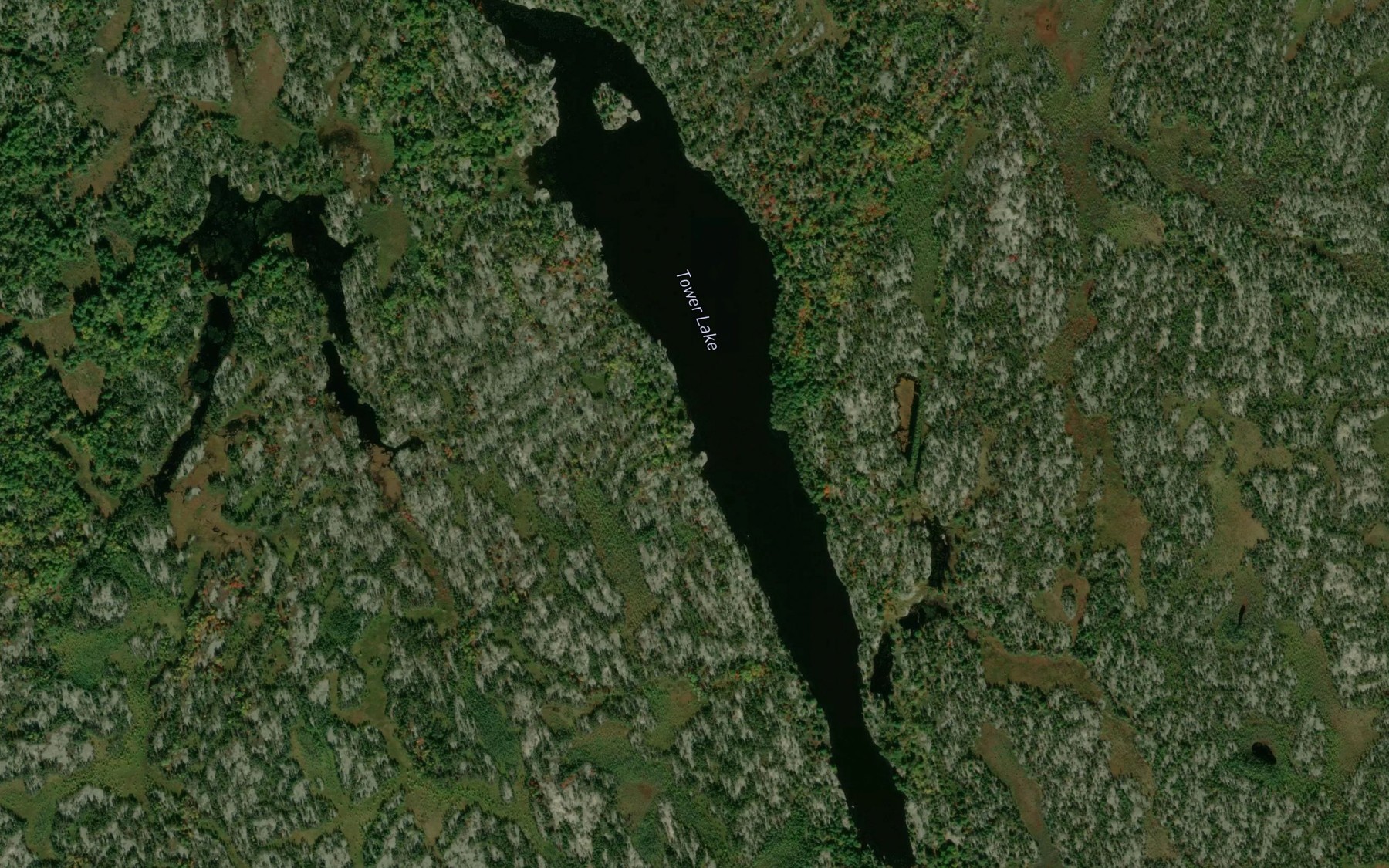 Satellite map of the Tower Lake