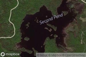 Second Pond