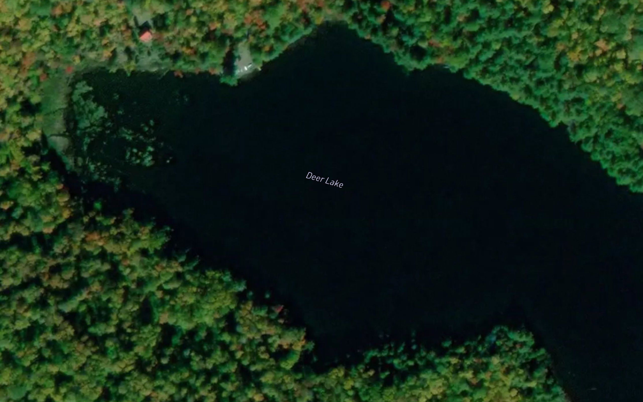 Deer Lake