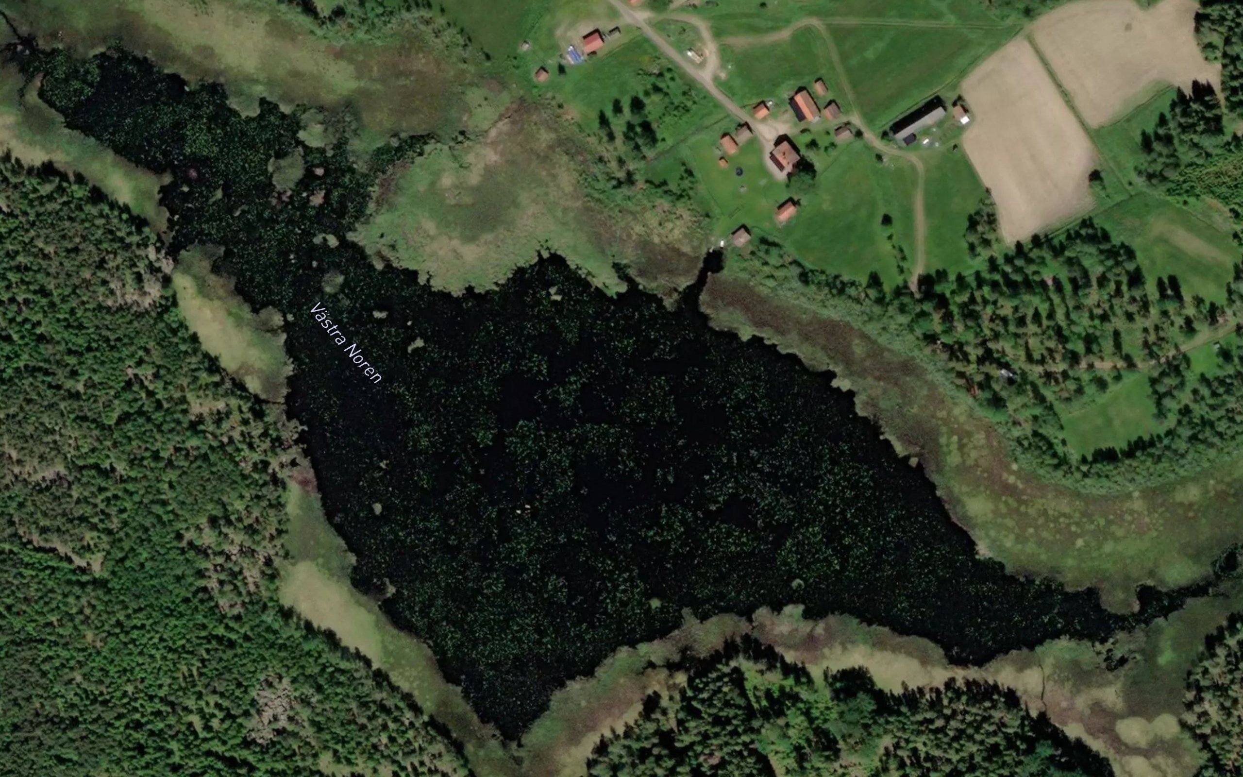 Vaestra Noren