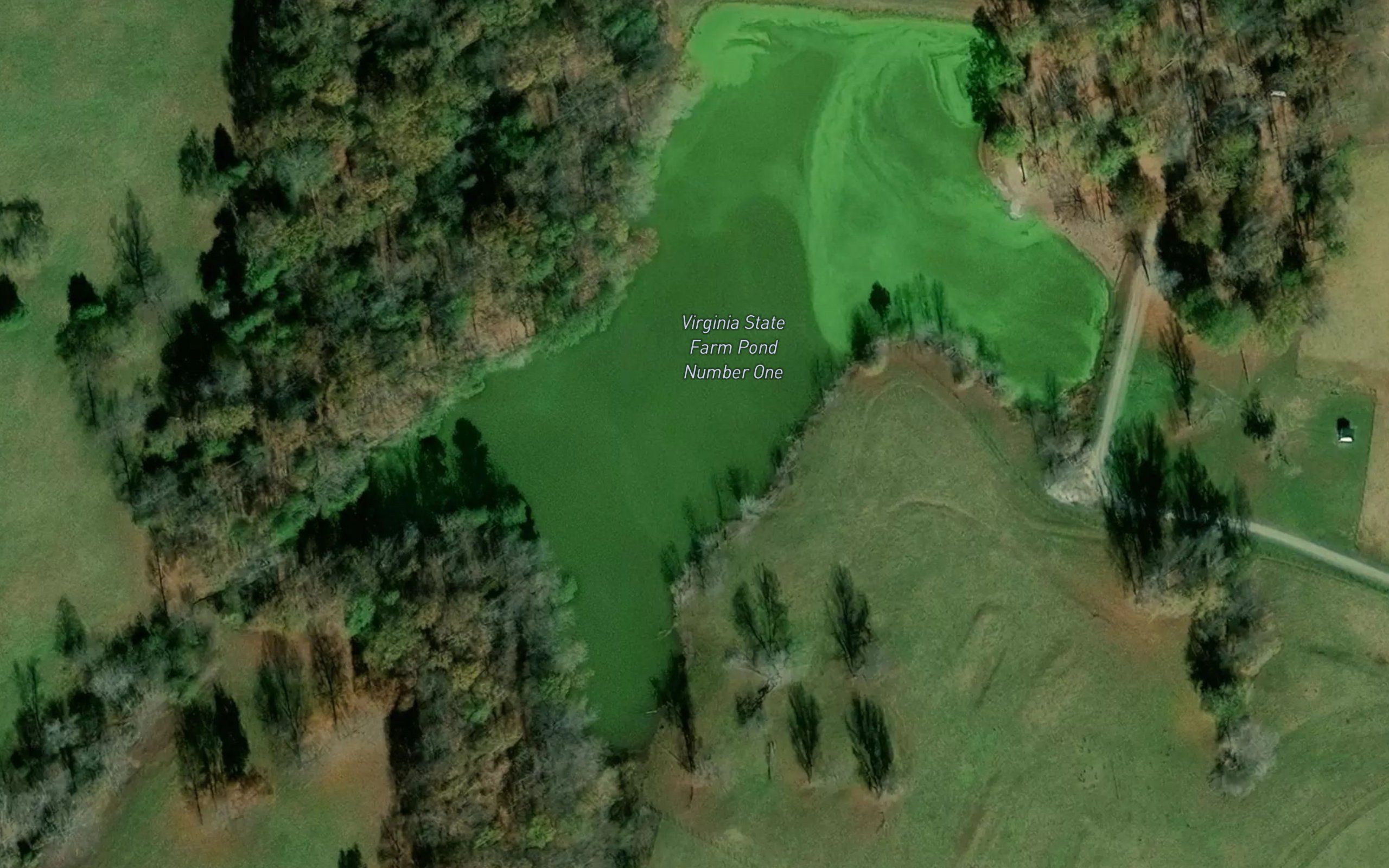 Virginia State Farm Pond Number One