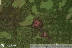 Beaver Pond