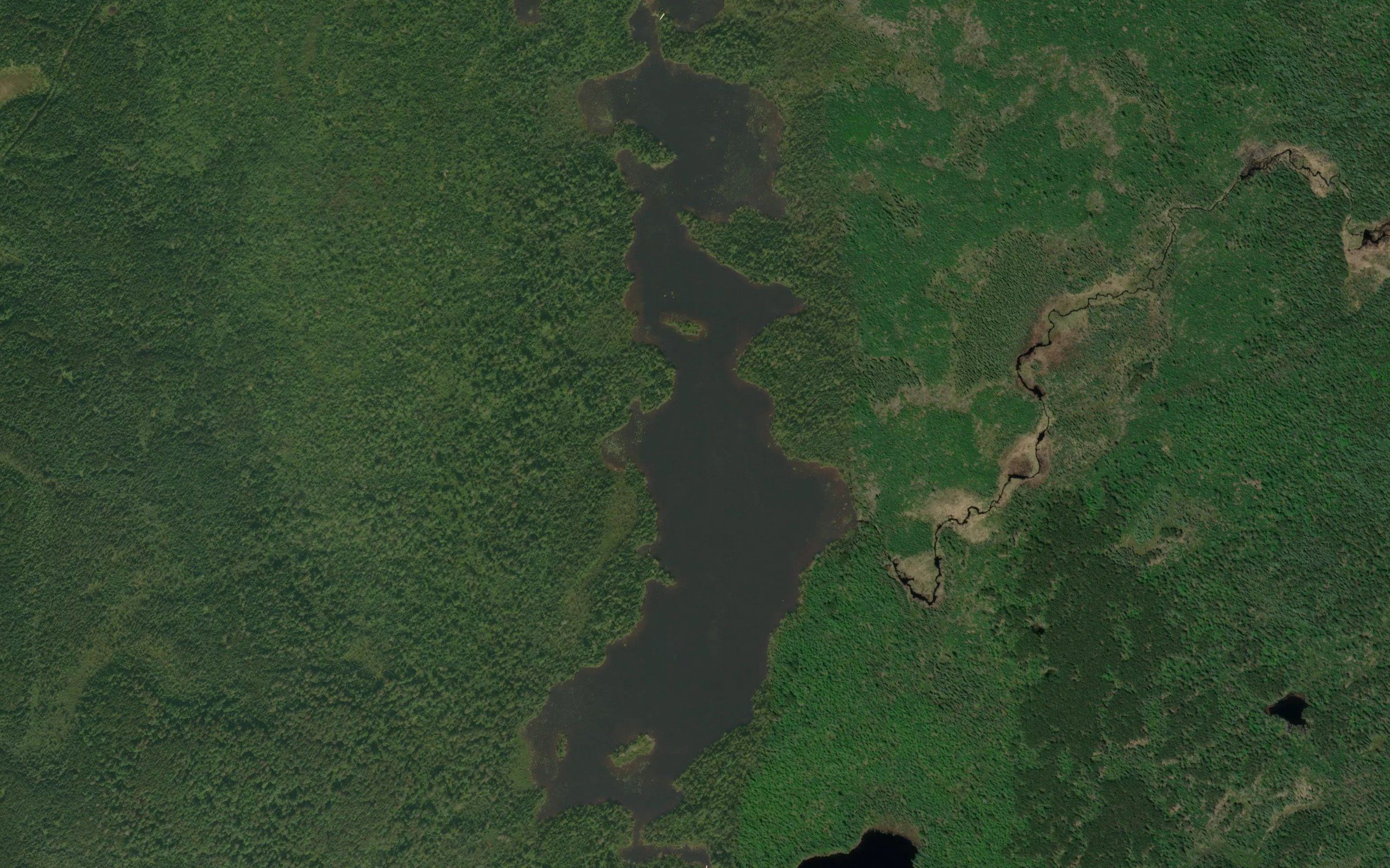 Peterson Lake