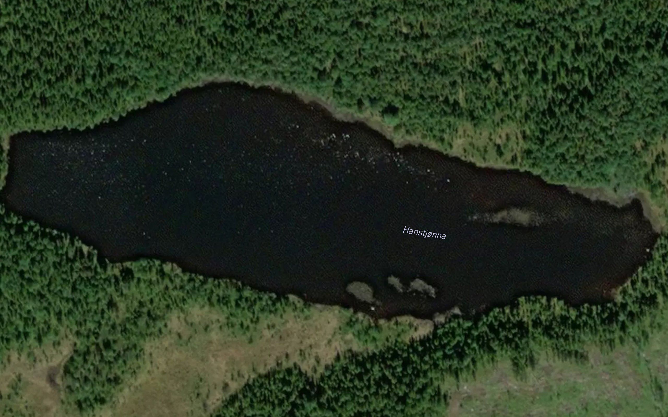 Hanstjorn