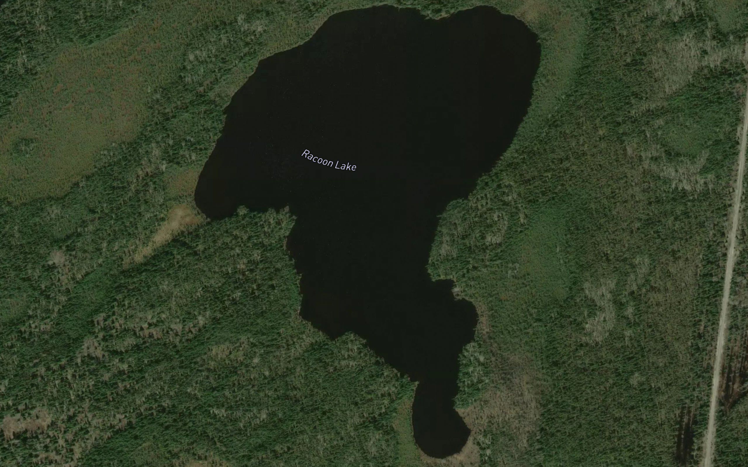 Racoon Lake
