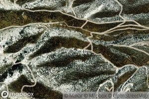 Young American Spring