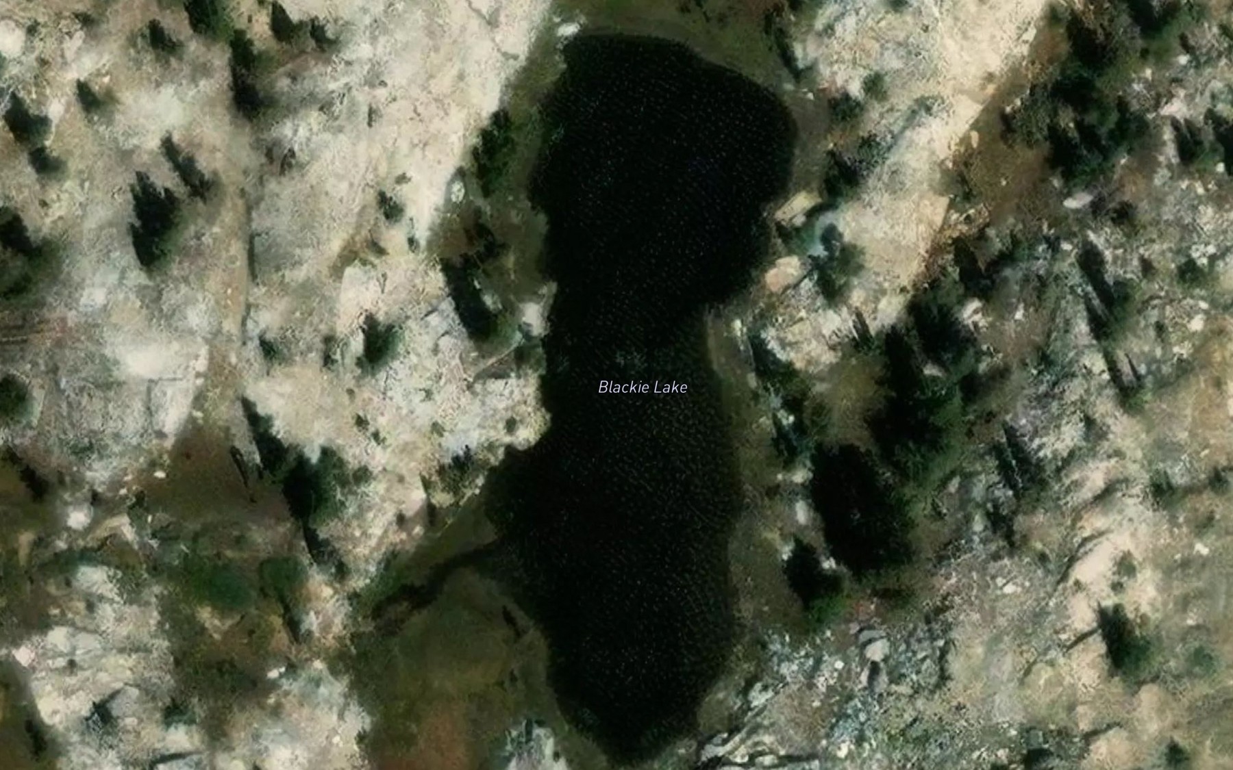 Satellite map of the Blackie Lake