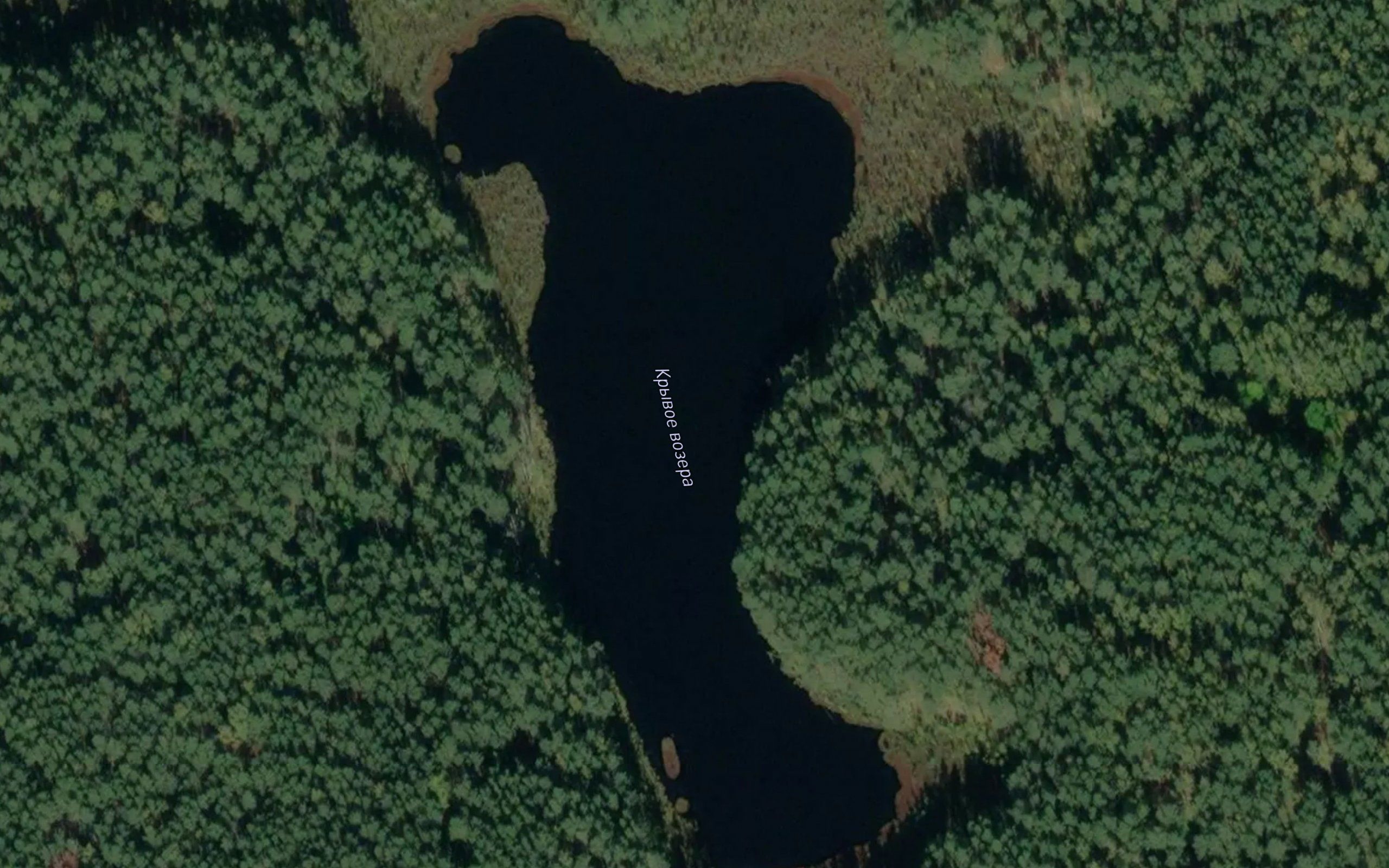 Ozero Krivoye