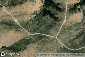Rooster Comb Spring