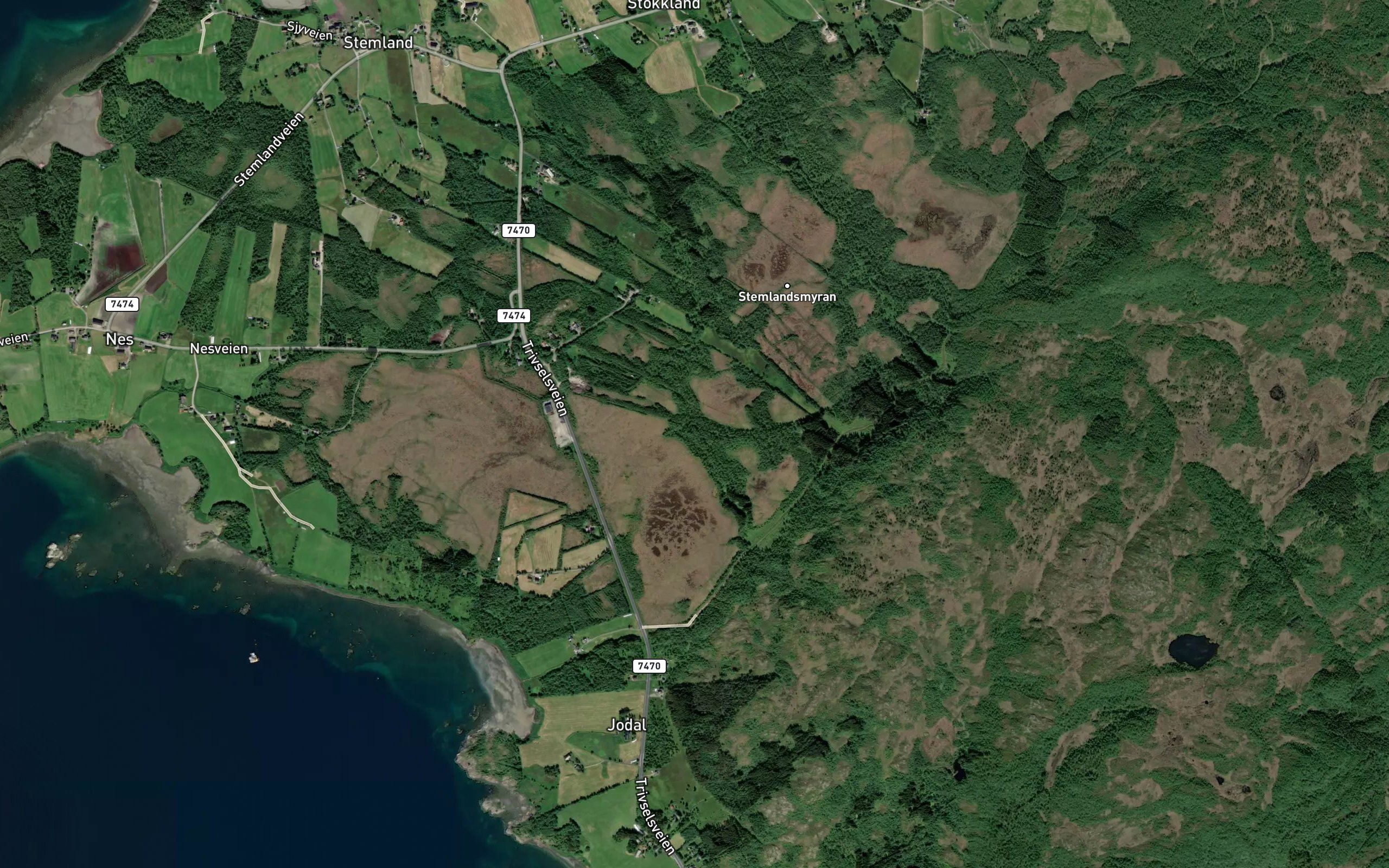 Stemlandselva