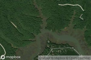 Haring Swamp