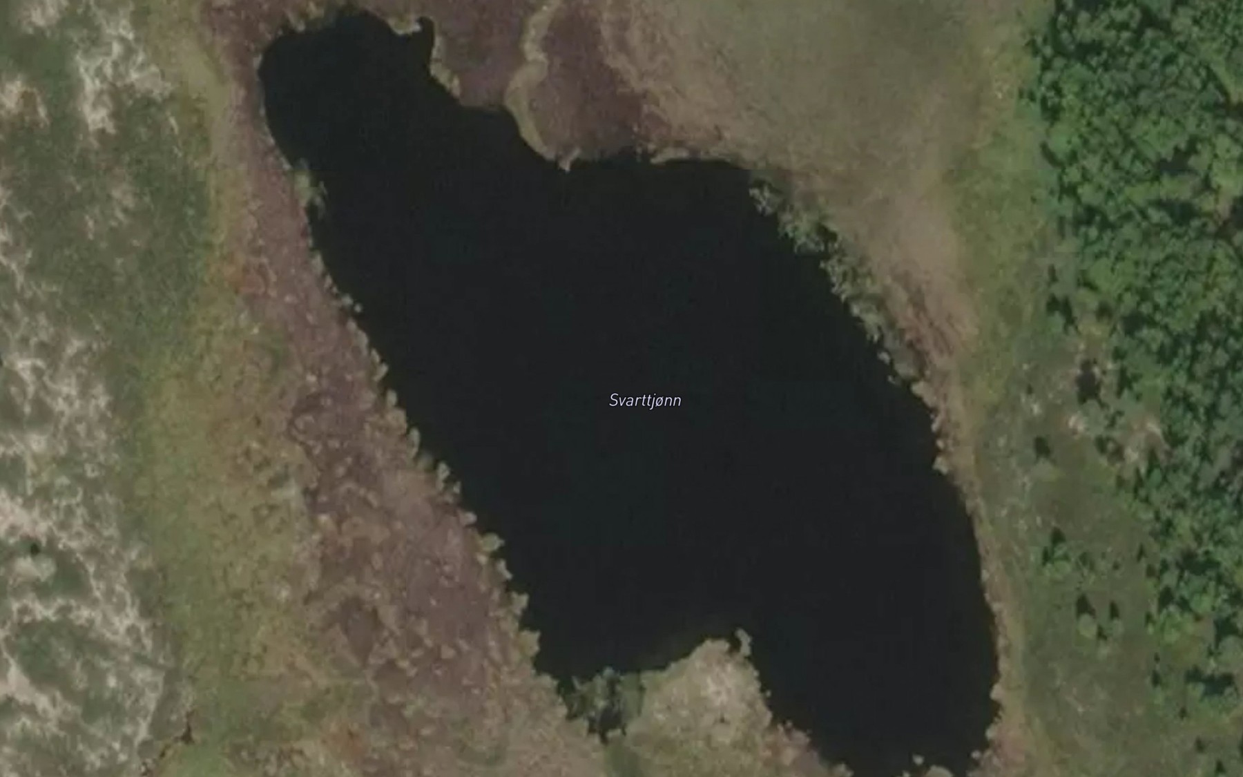 Satellite map of the Svarttjonn