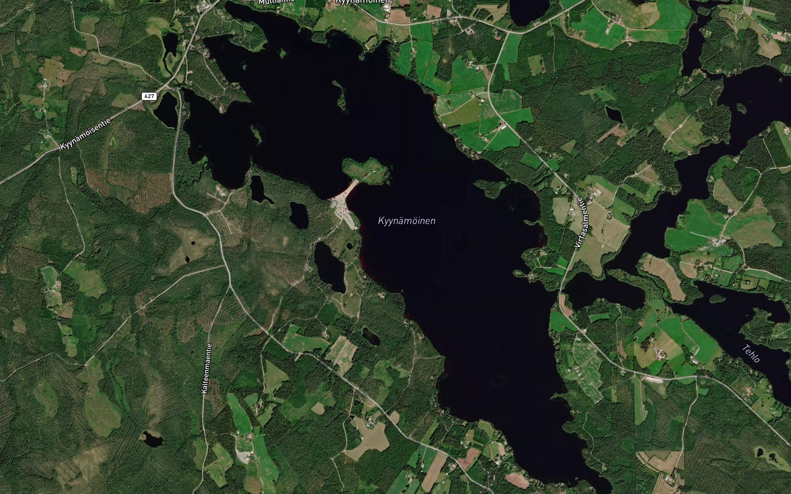 Kyynamoinen