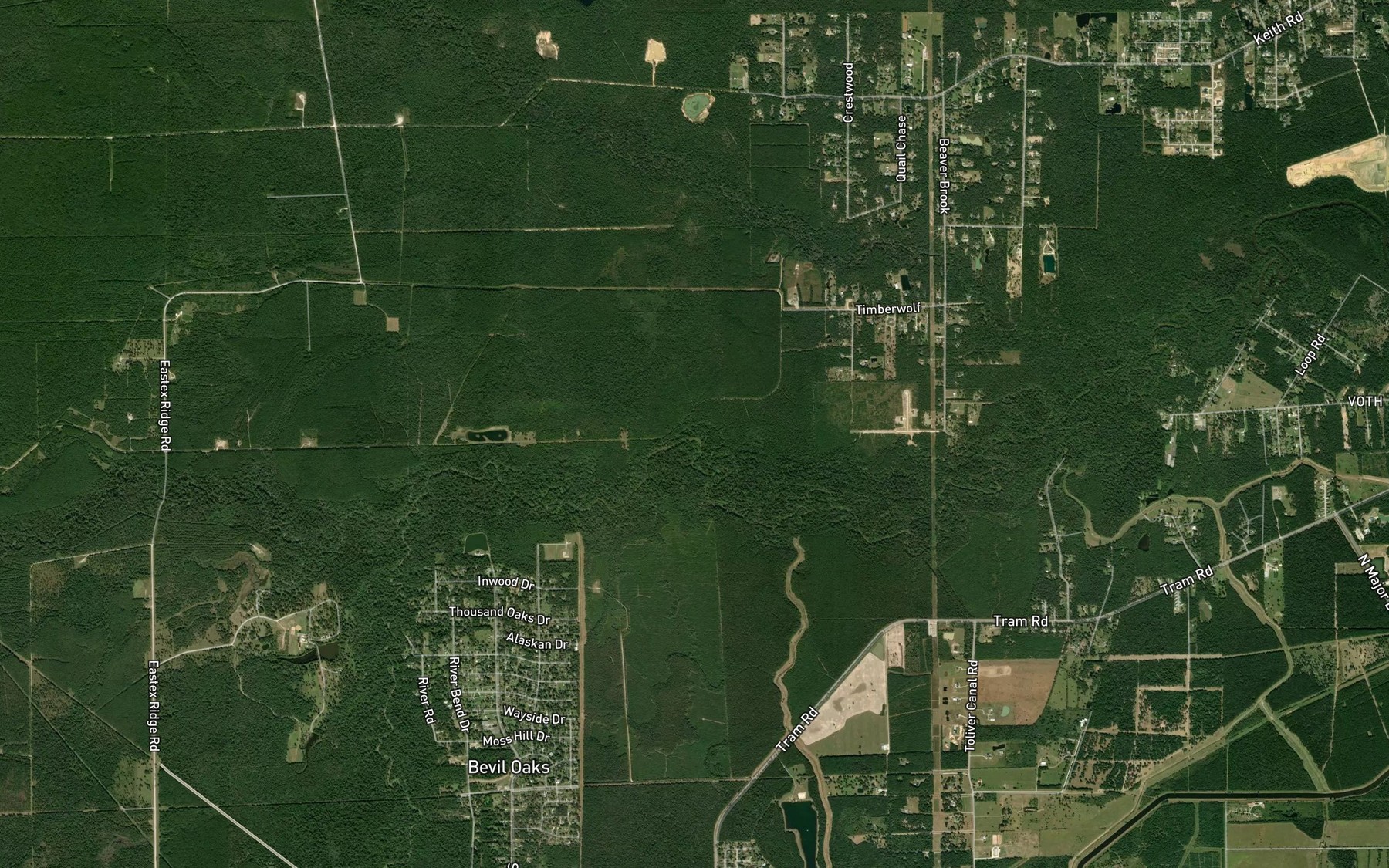 Satellite map of the Fish Camp Slough