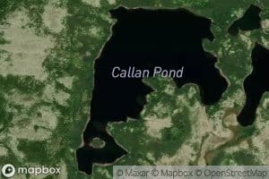Callan Pond