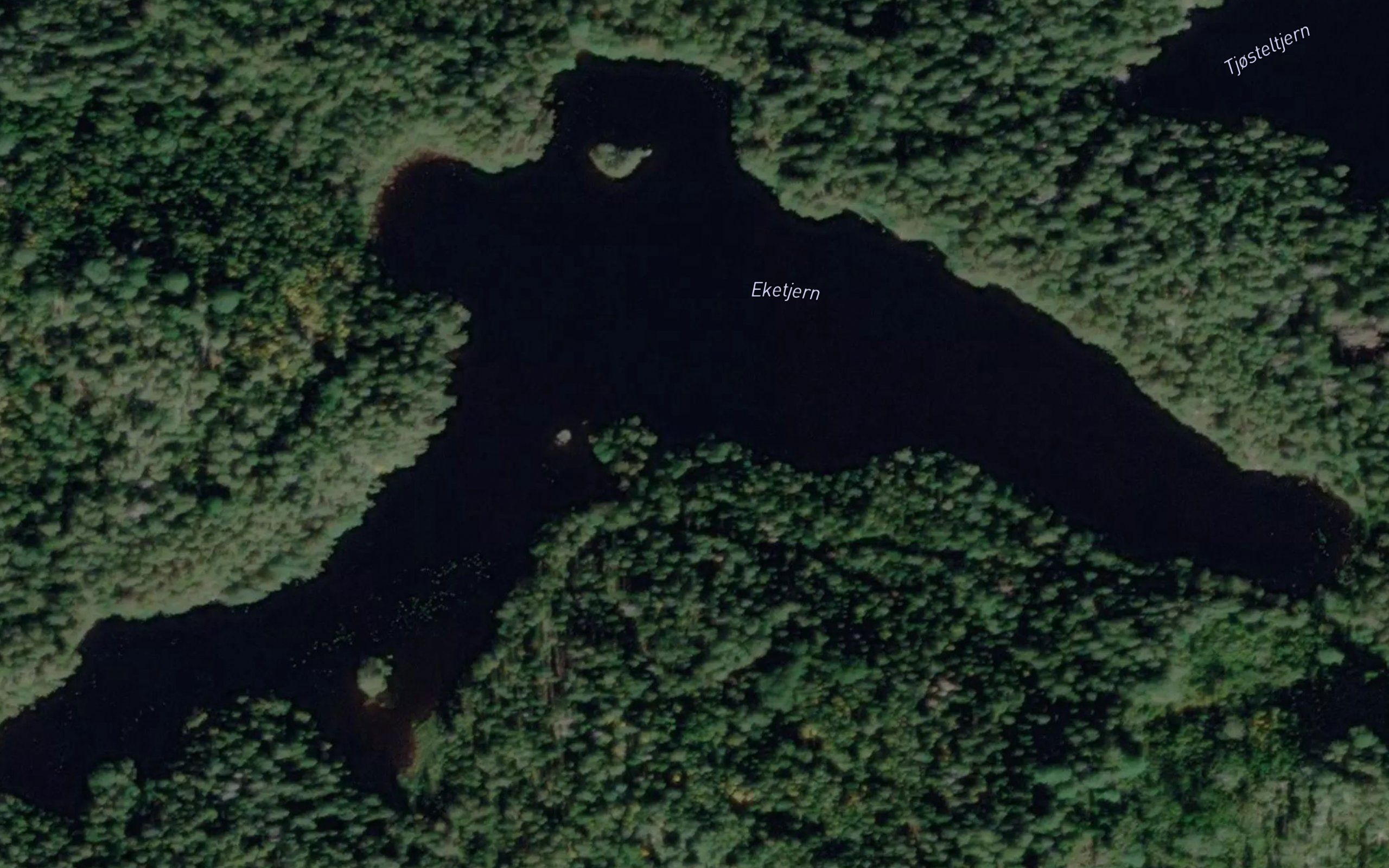 Ekertjernet