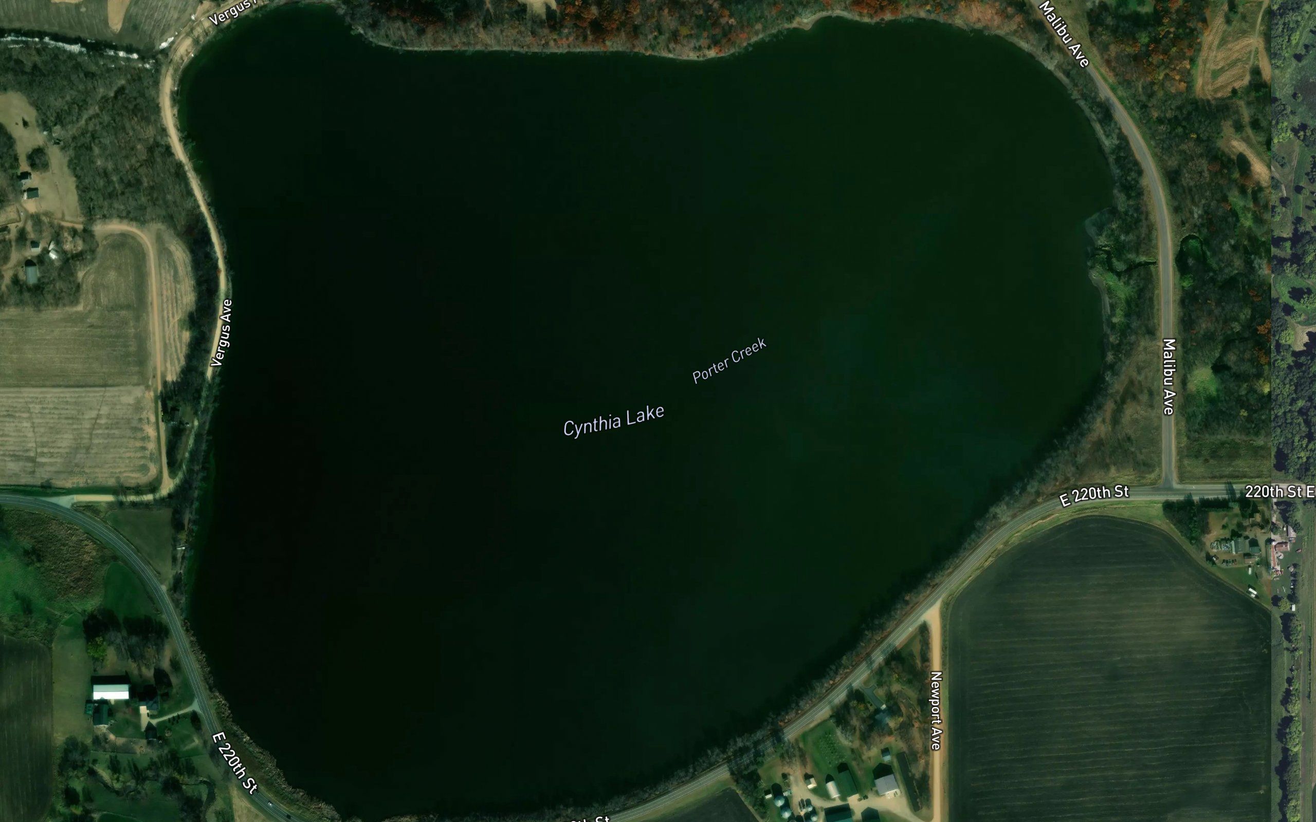 Cynthia Lake
