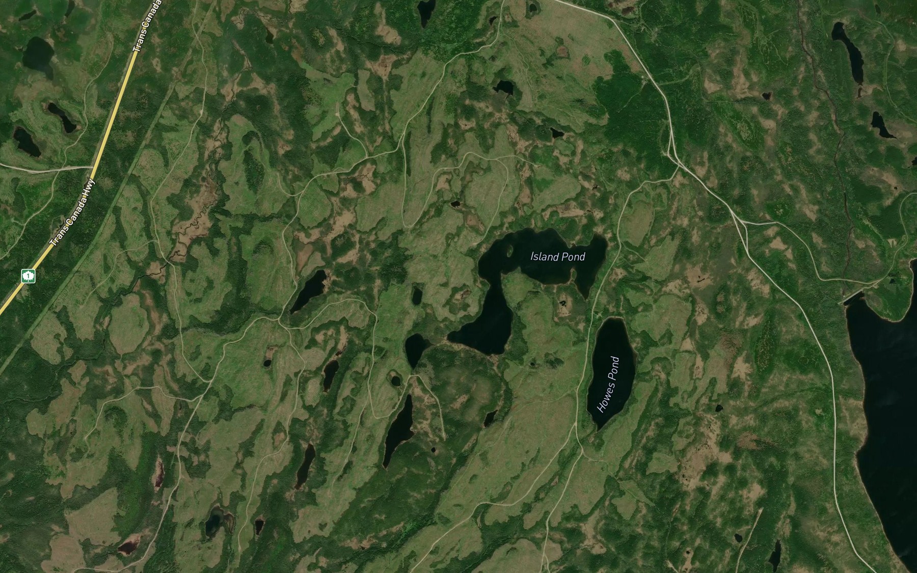 Satellite map of the Round Pond