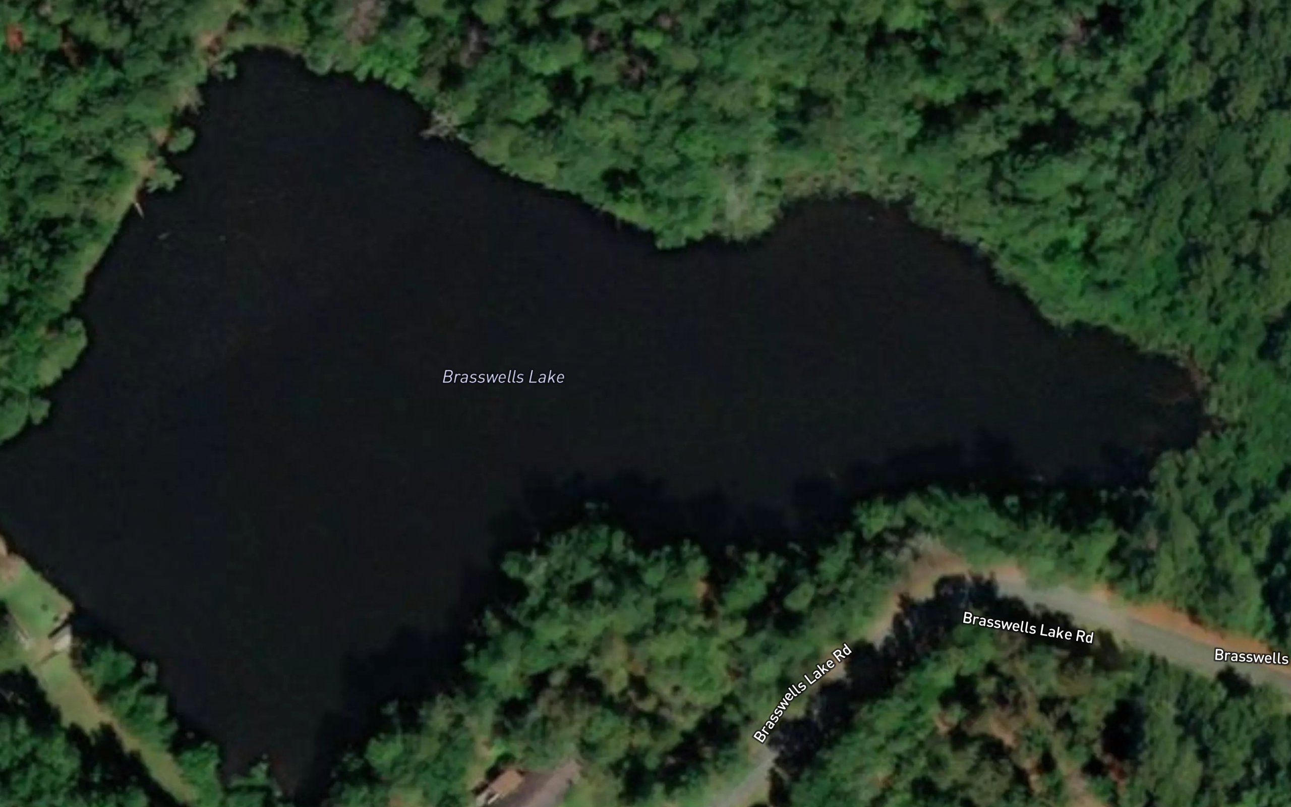 Brasswells Lake