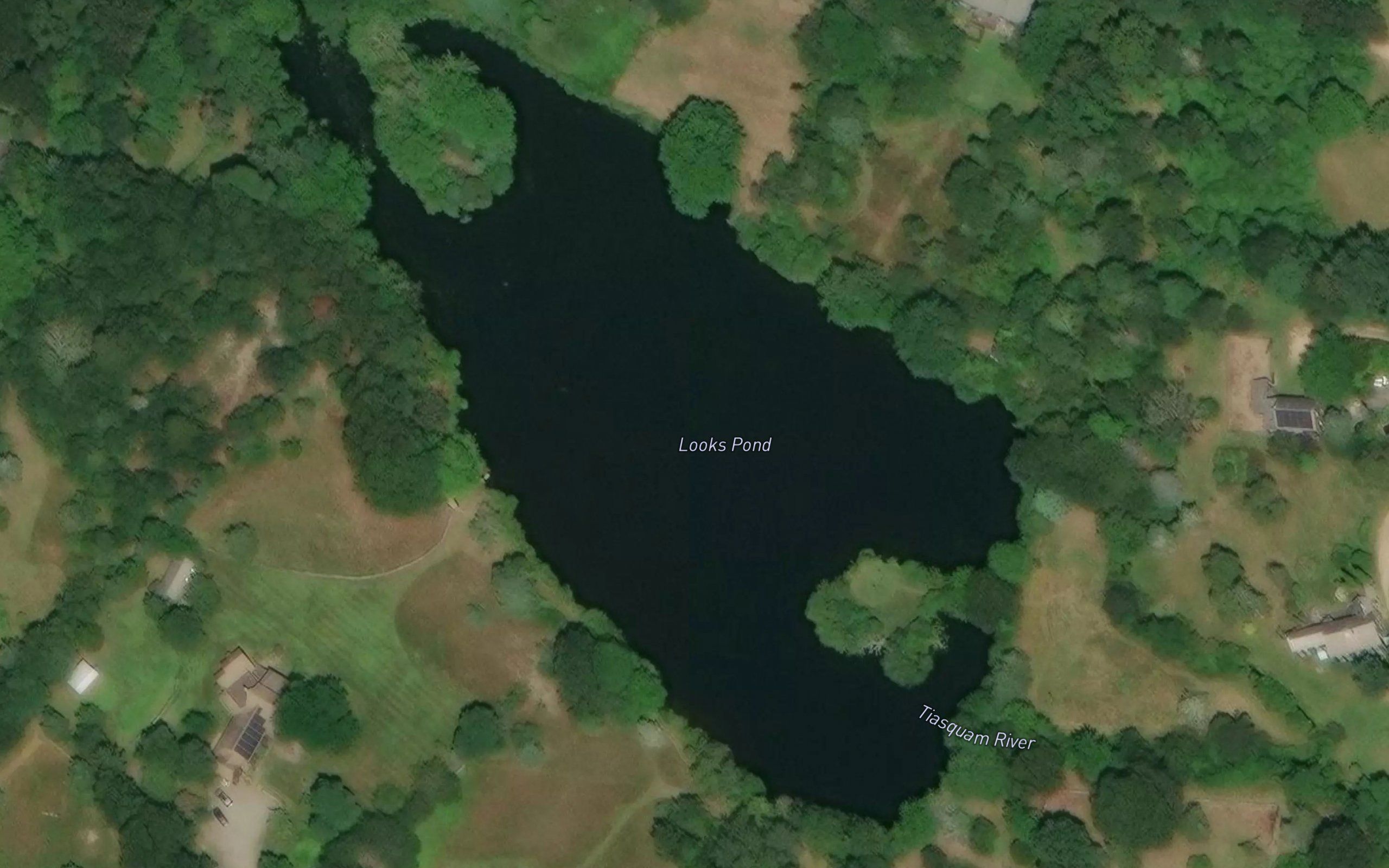 Looks Pond