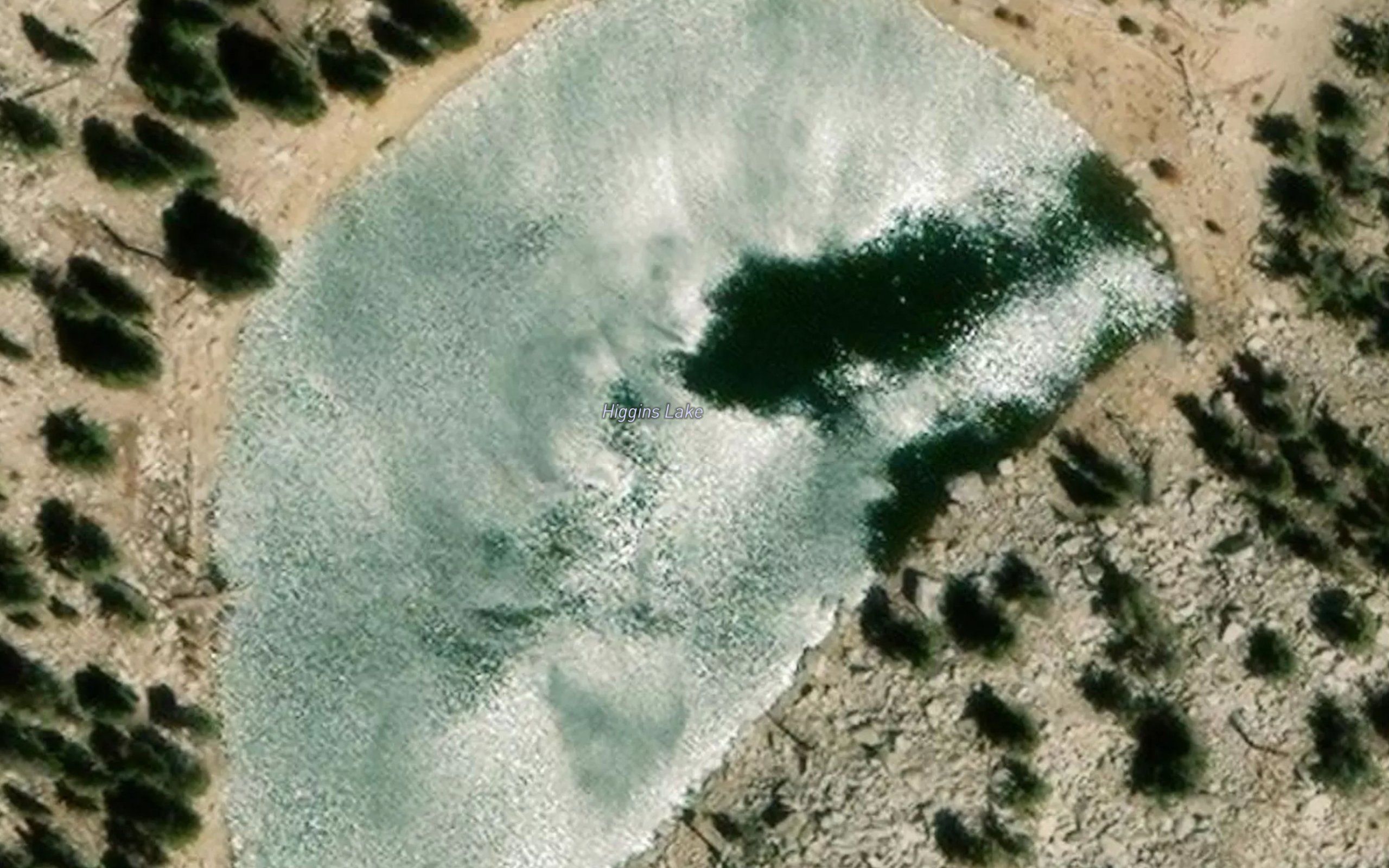 Higgins Lake