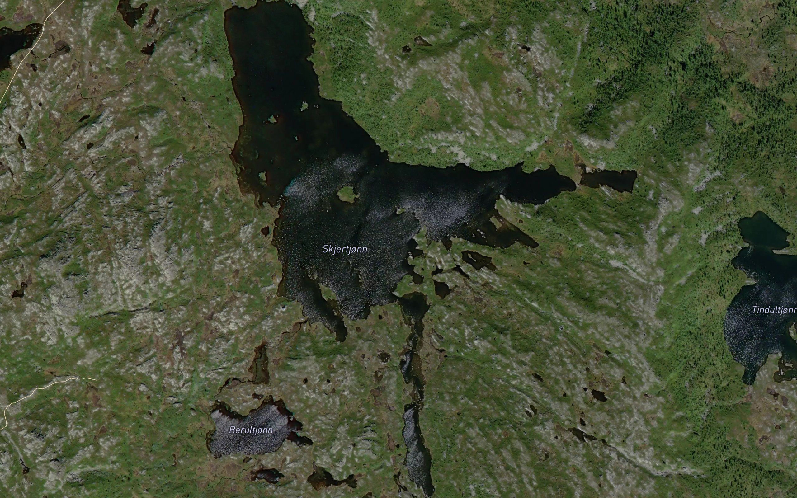 Skjertjorn