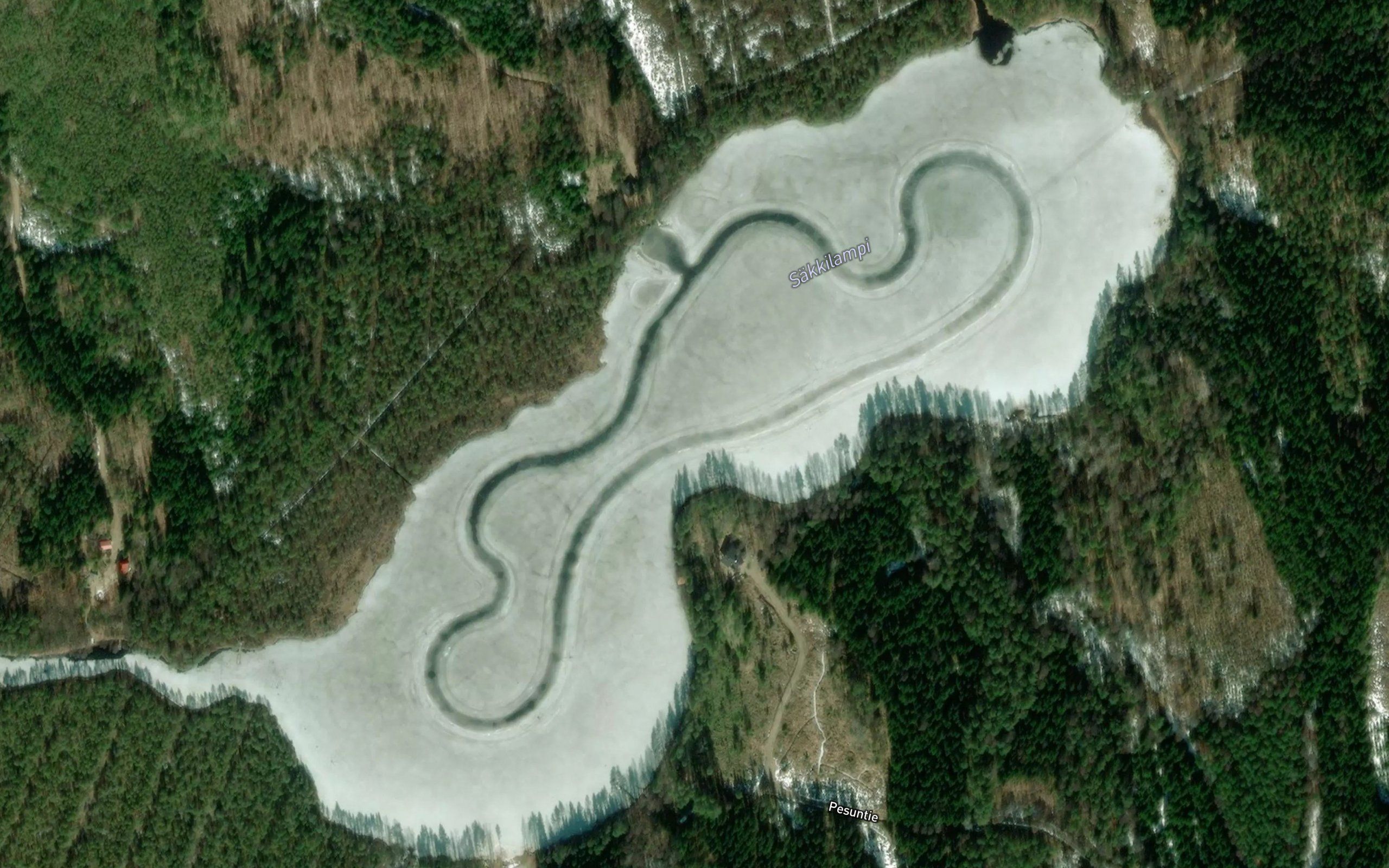 Sakkilampi