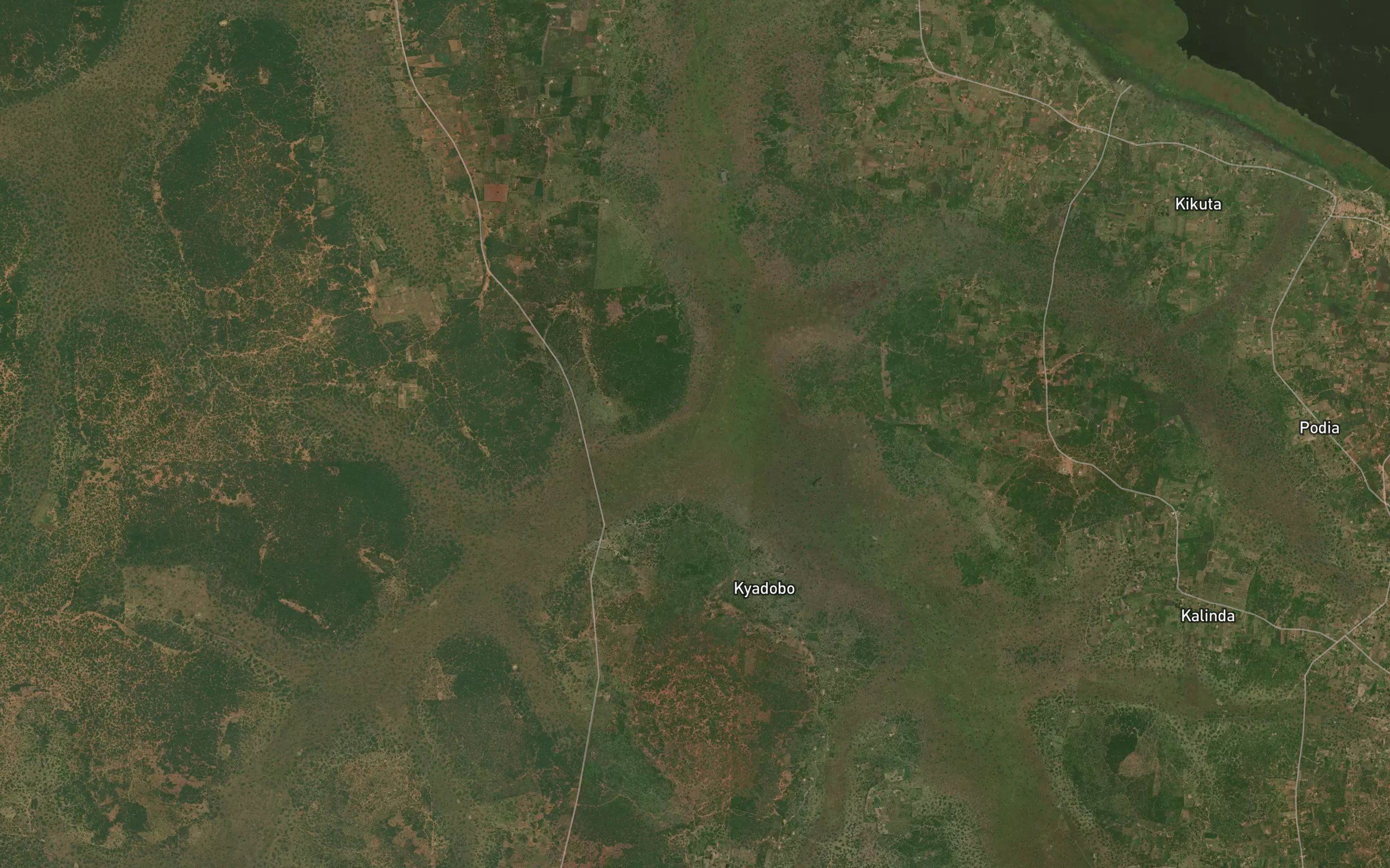 Katalikwa