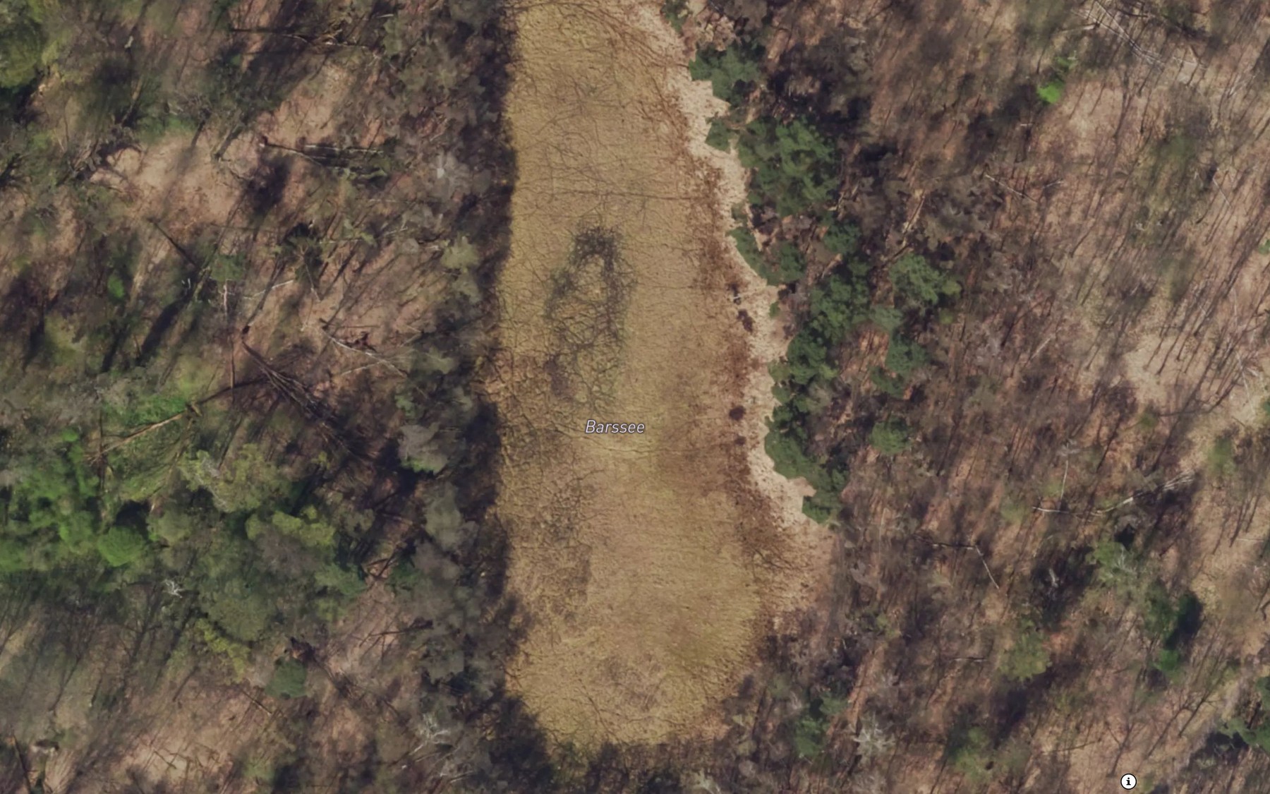 Satellite map of the Barssee