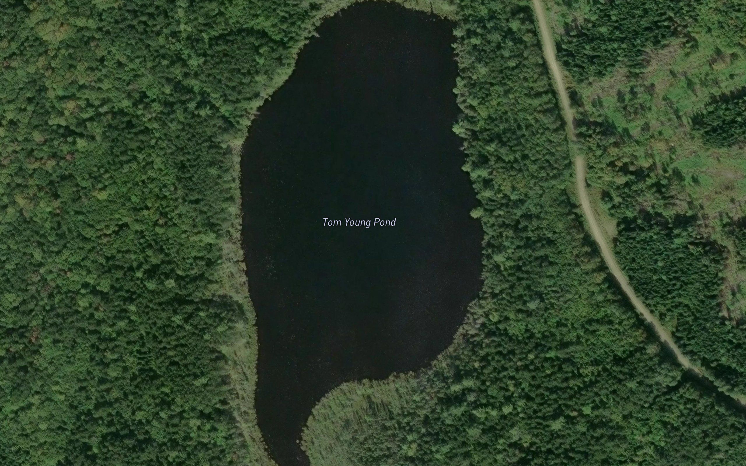 Tom Young Pond