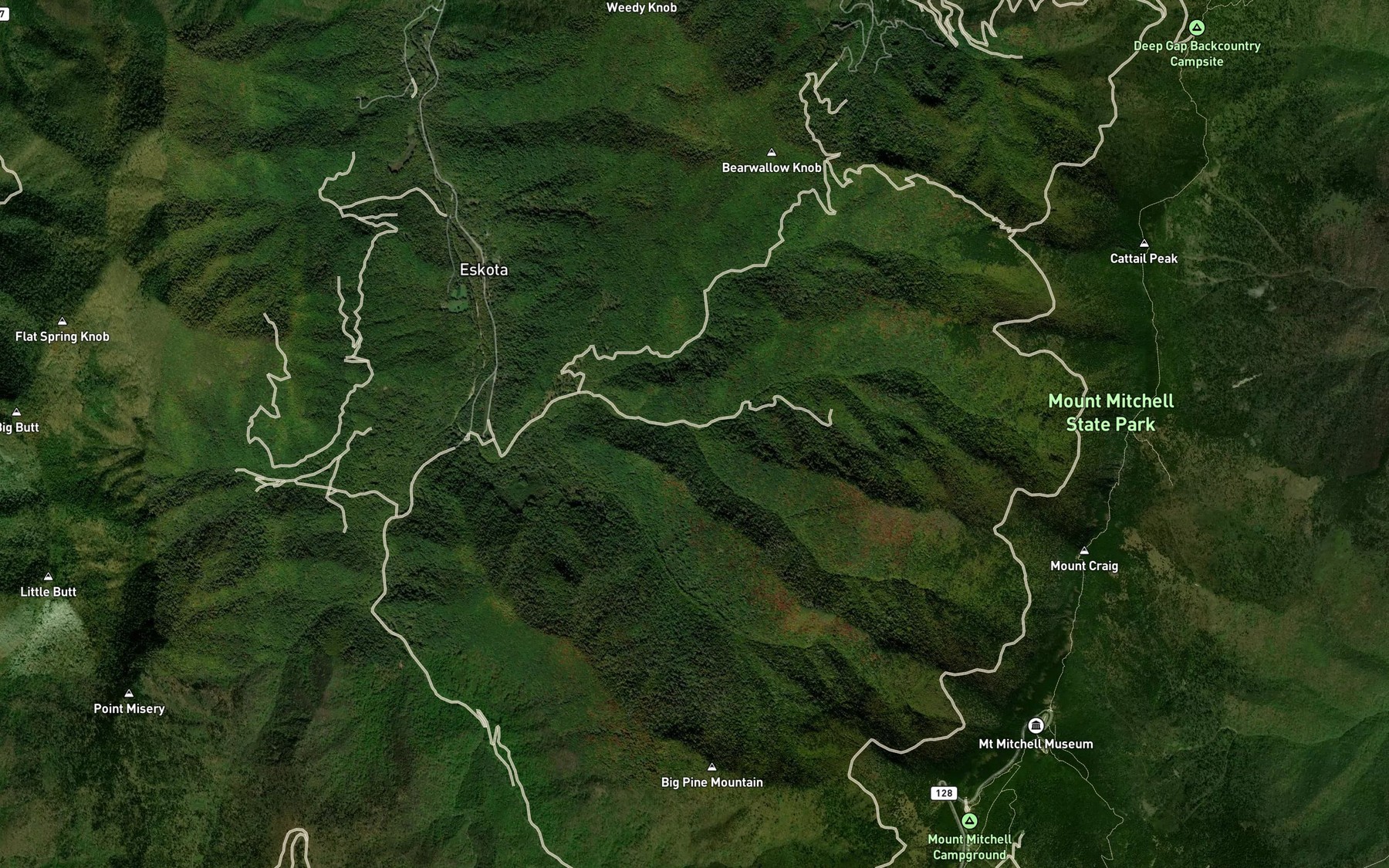 Satellite map of the Mitchell Creek