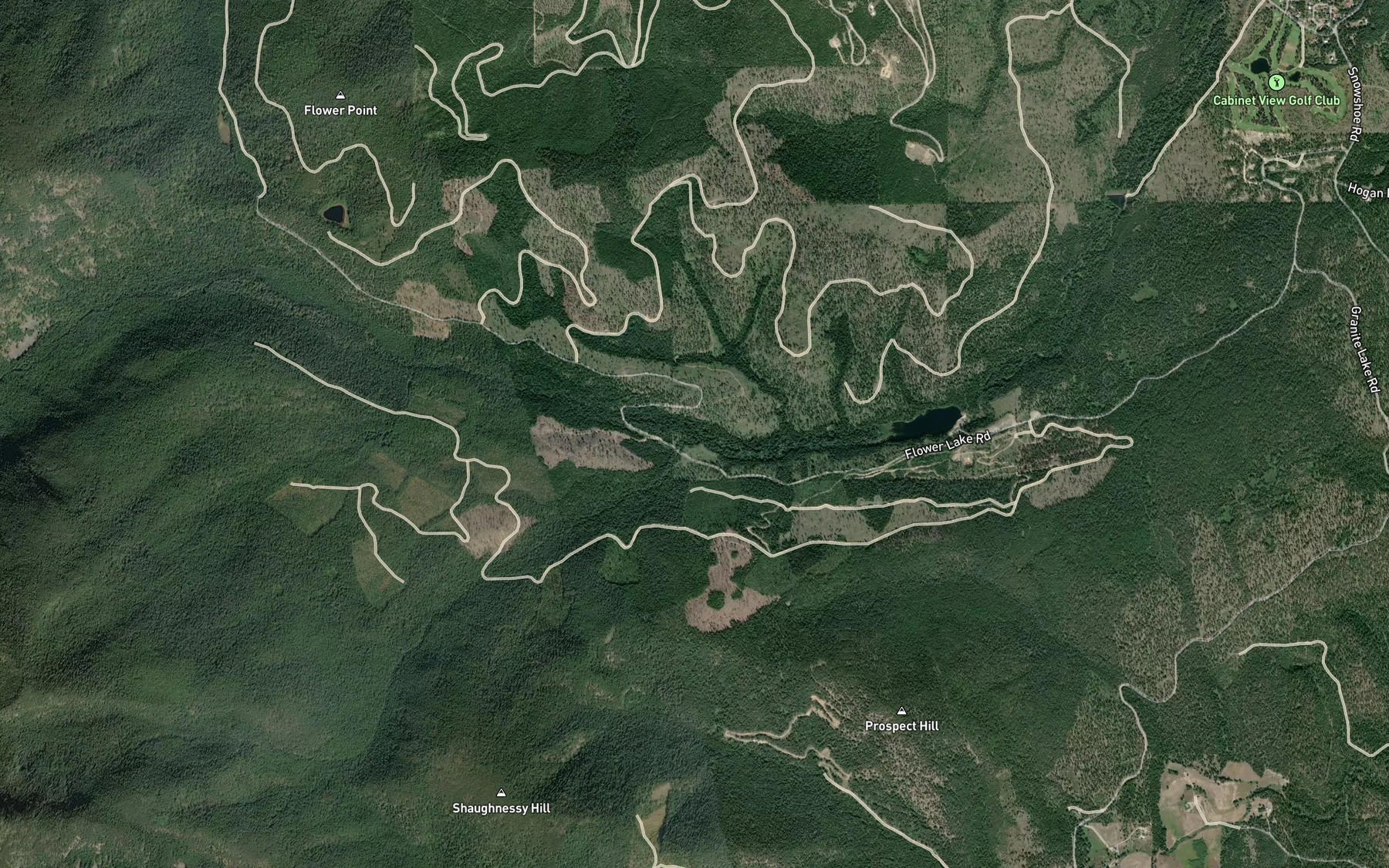 Satellite map of the South Fork Flower Creek
