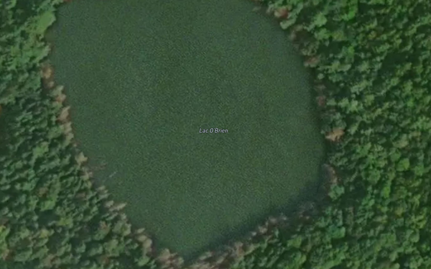 Satellite map of the Lac O'Brien
