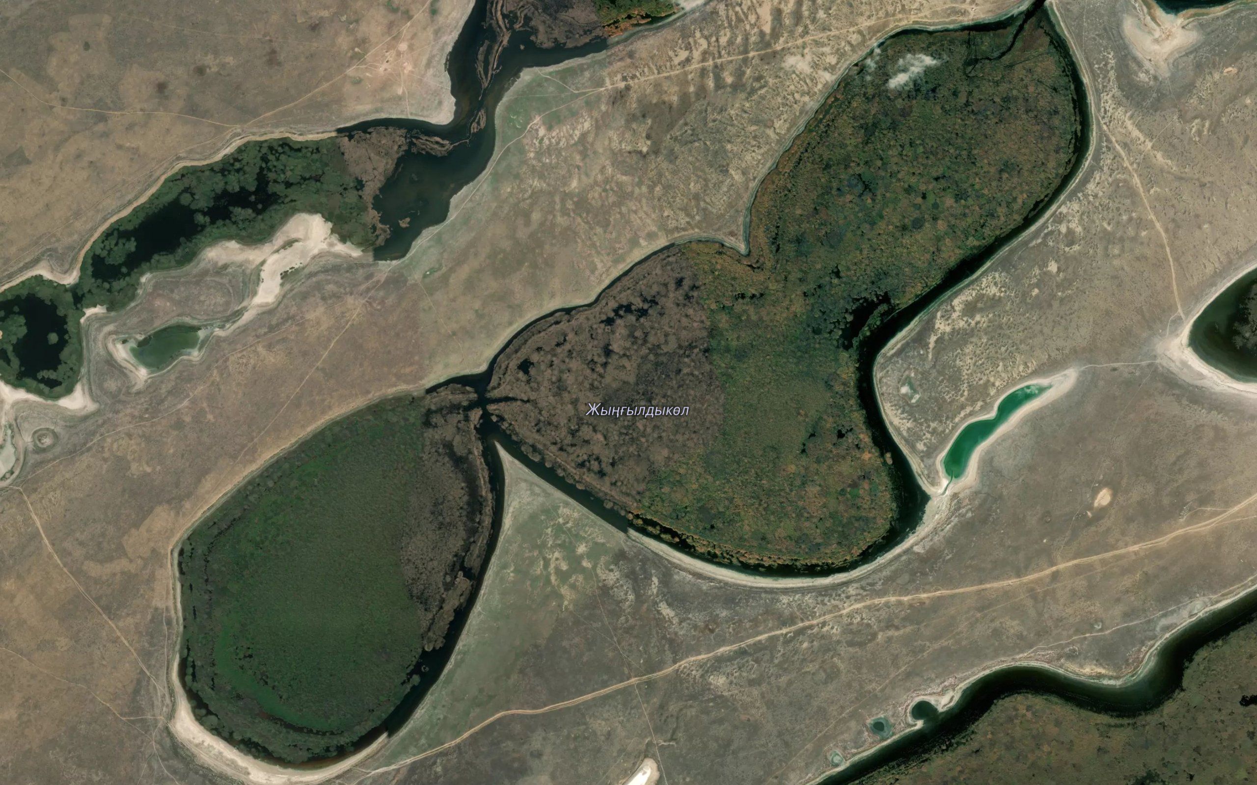 Ozero Zhyngyldykol'