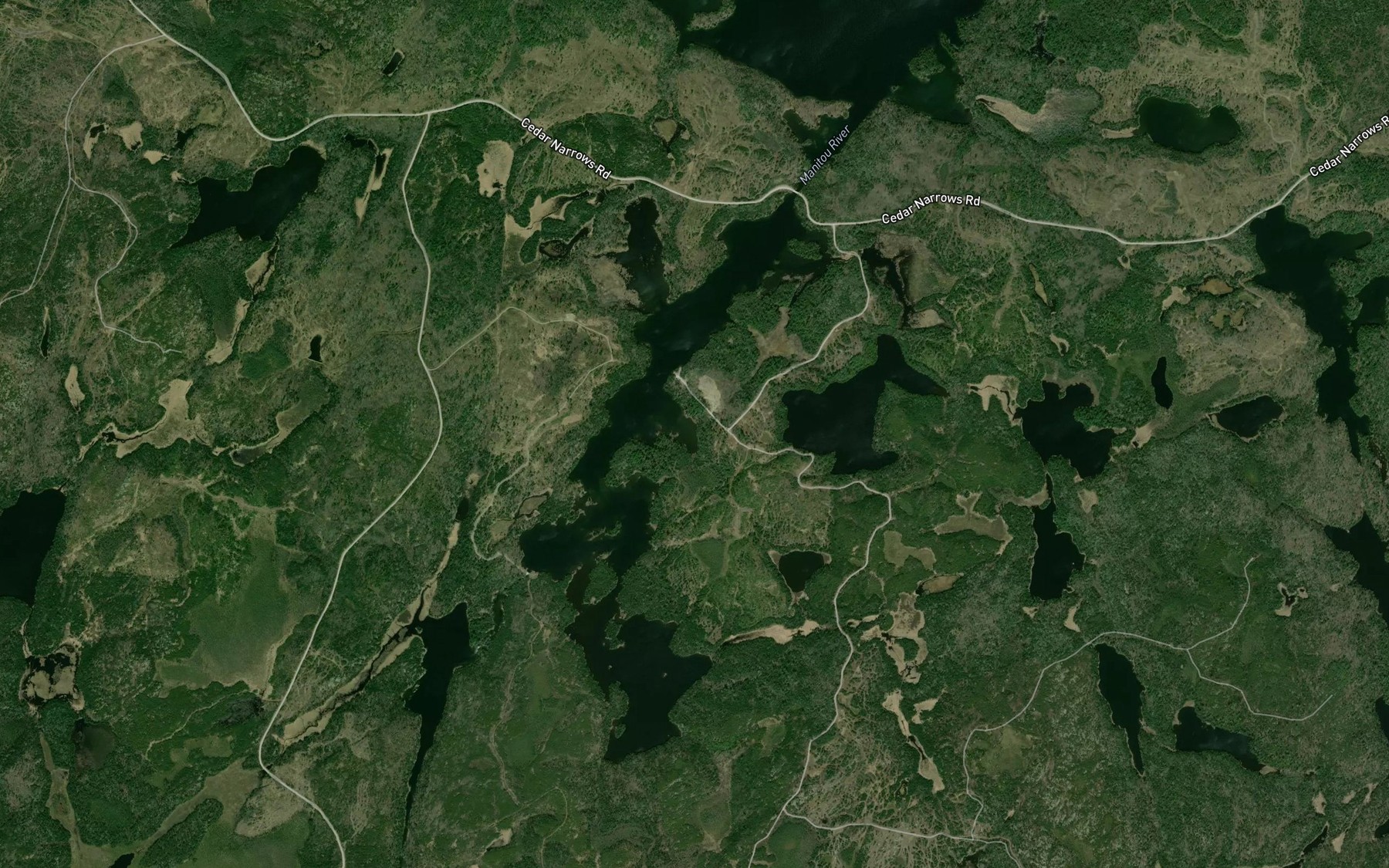 Satellite map of the Gussie Lake