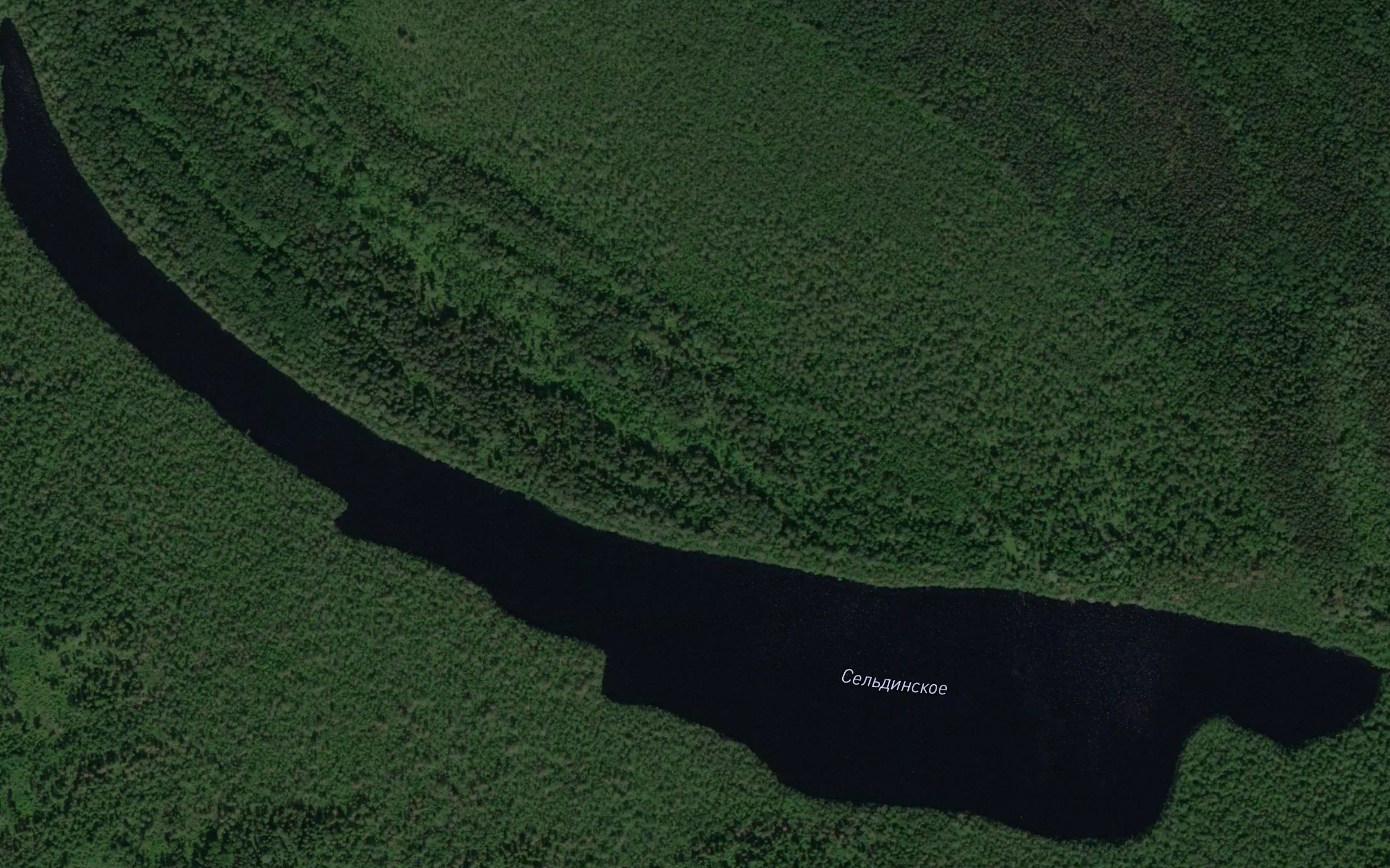 Ozero Sel'dinskoye