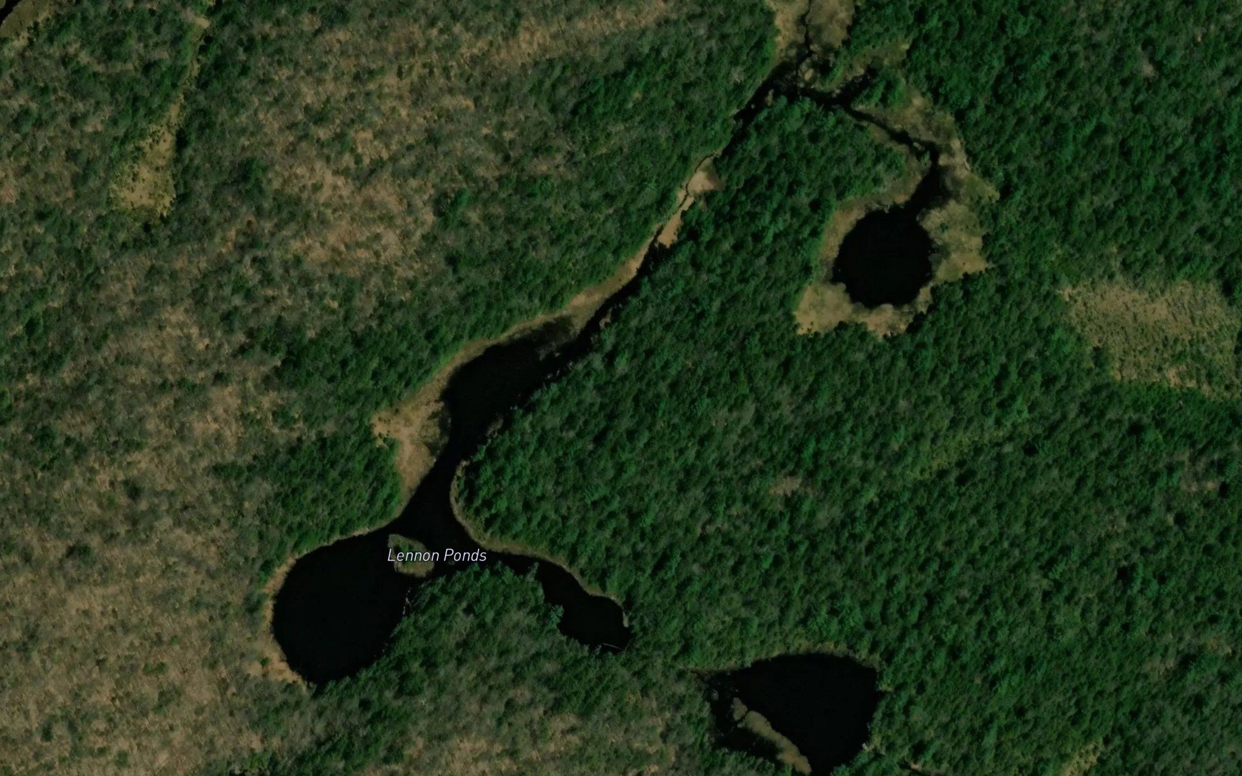Lennon Ponds