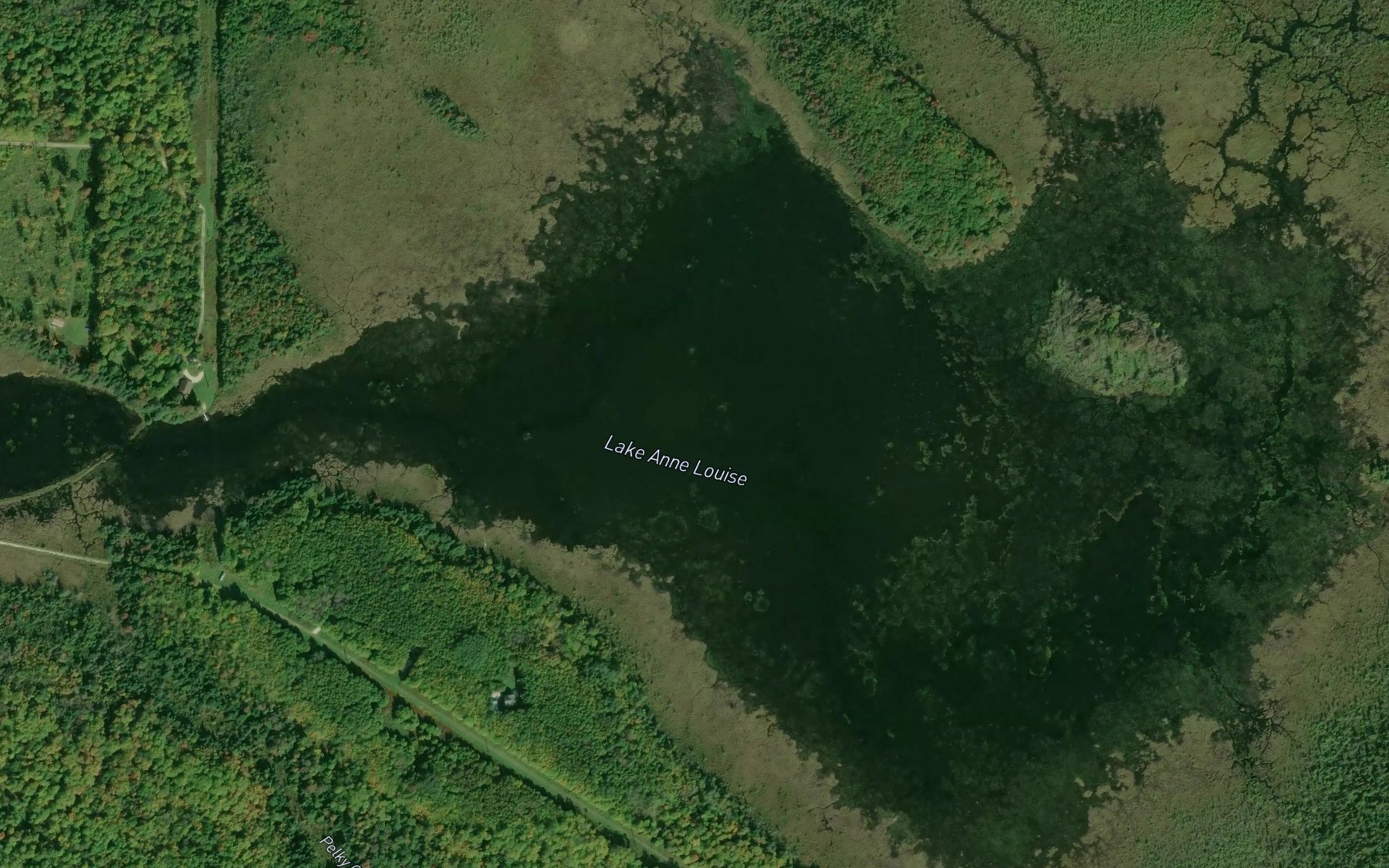 Satellite map of the Lake Anne Louise