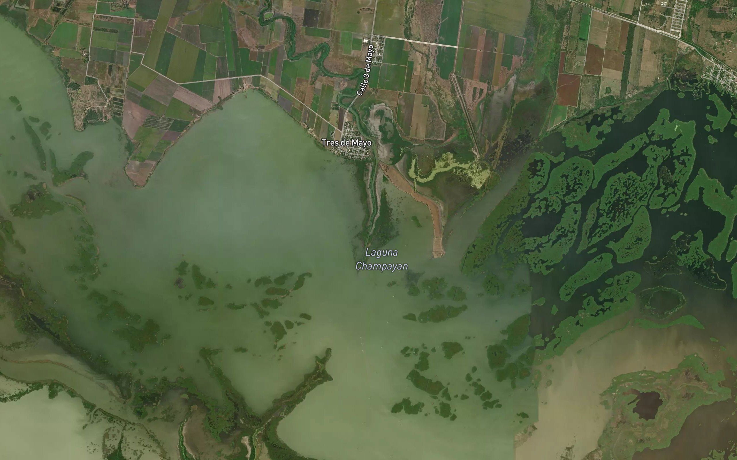 Estero Cebadilla