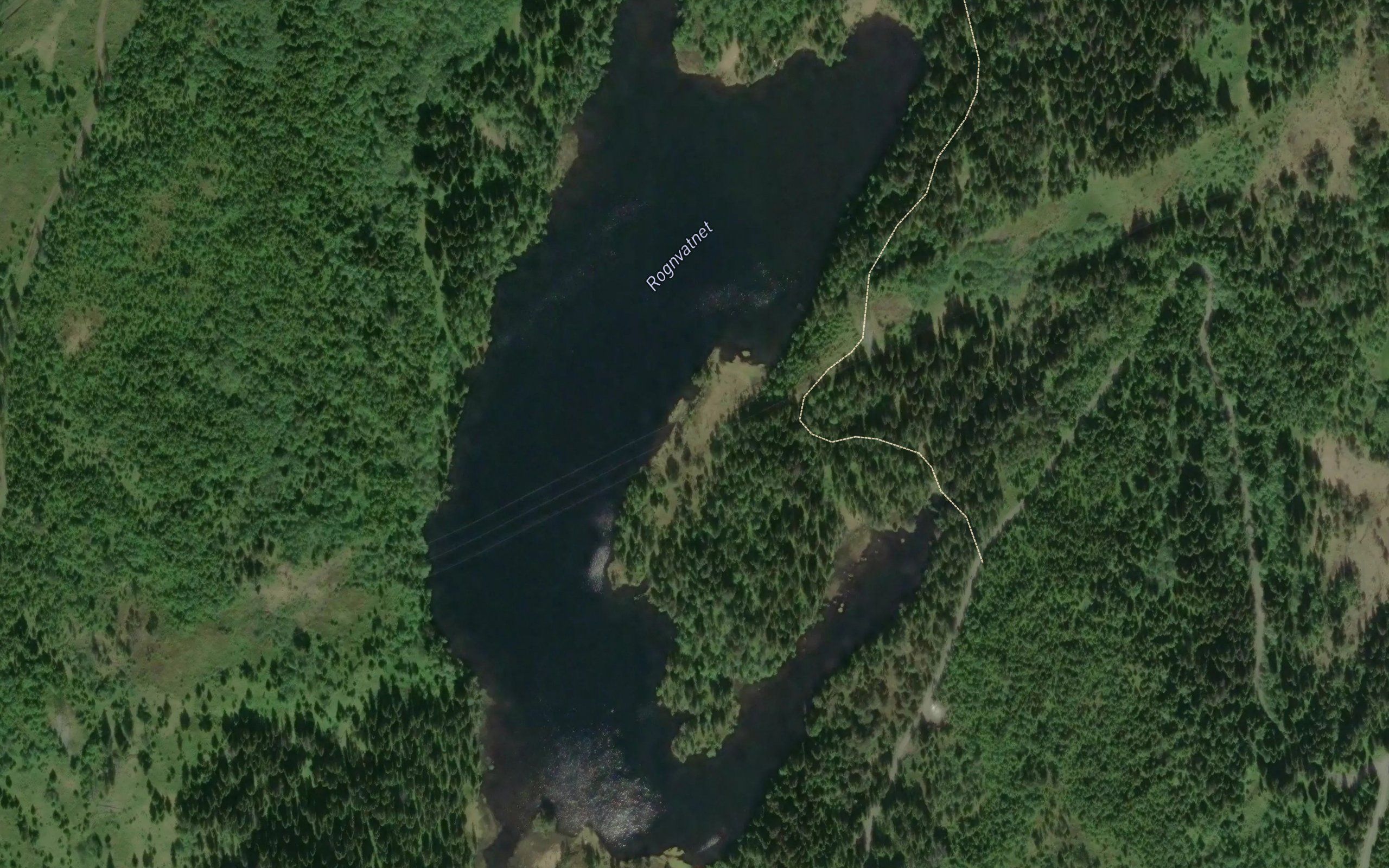 Rognvatnet