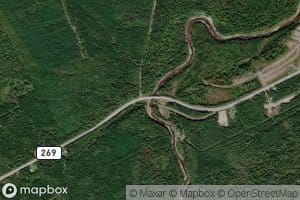 Ruisseau a Plante