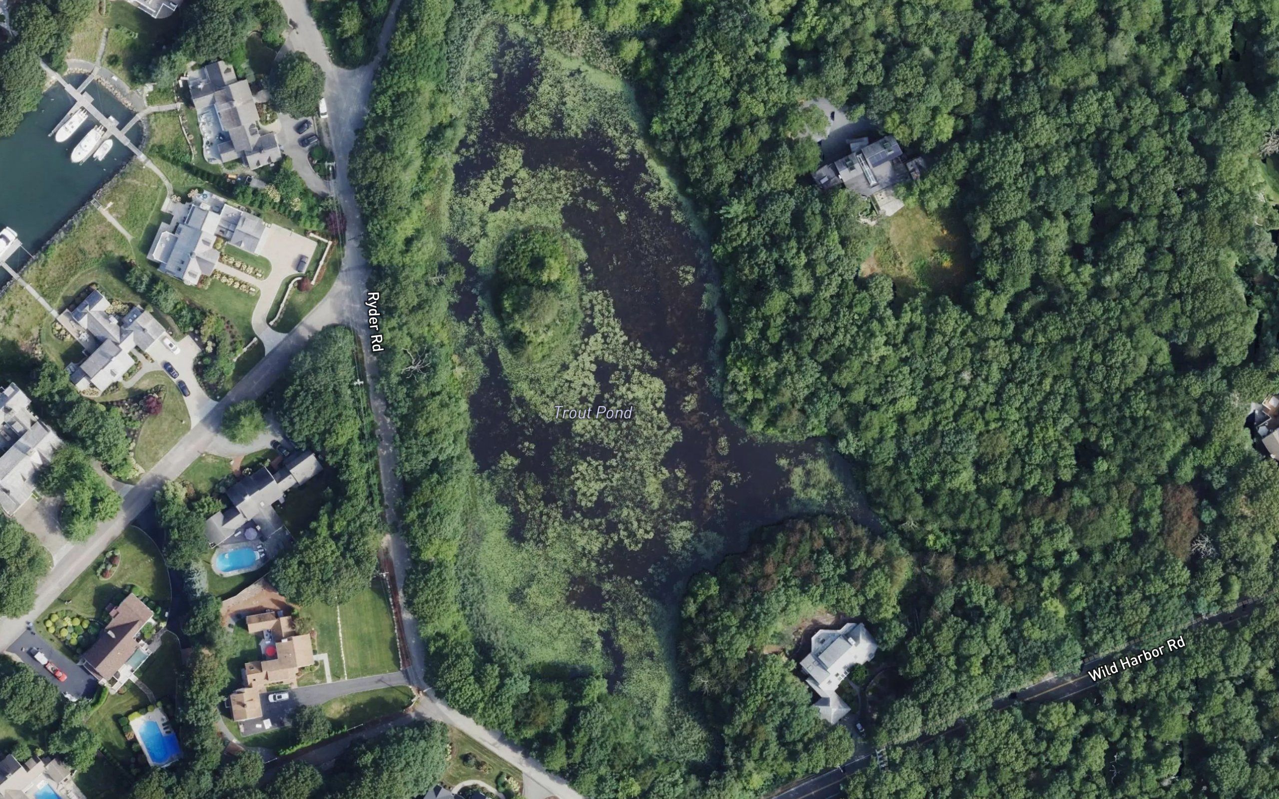 Trout Pond