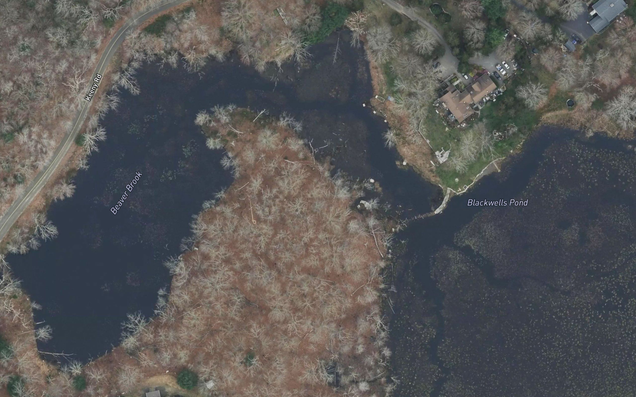 Blackwells Pond