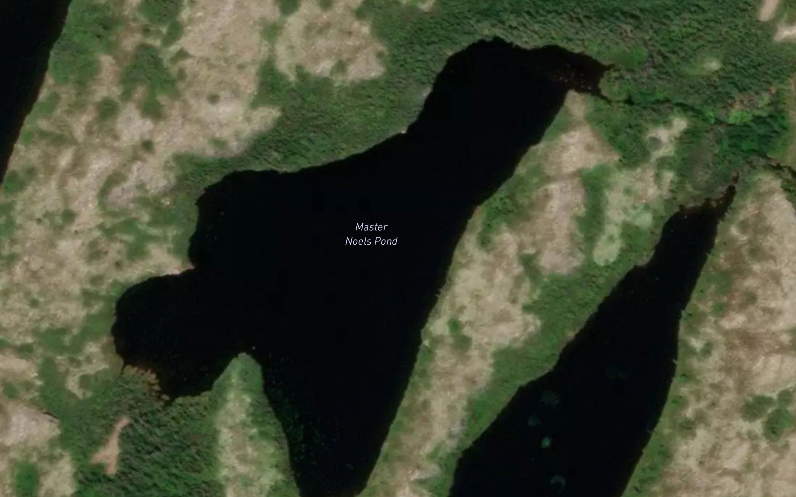 Master Noels Pond